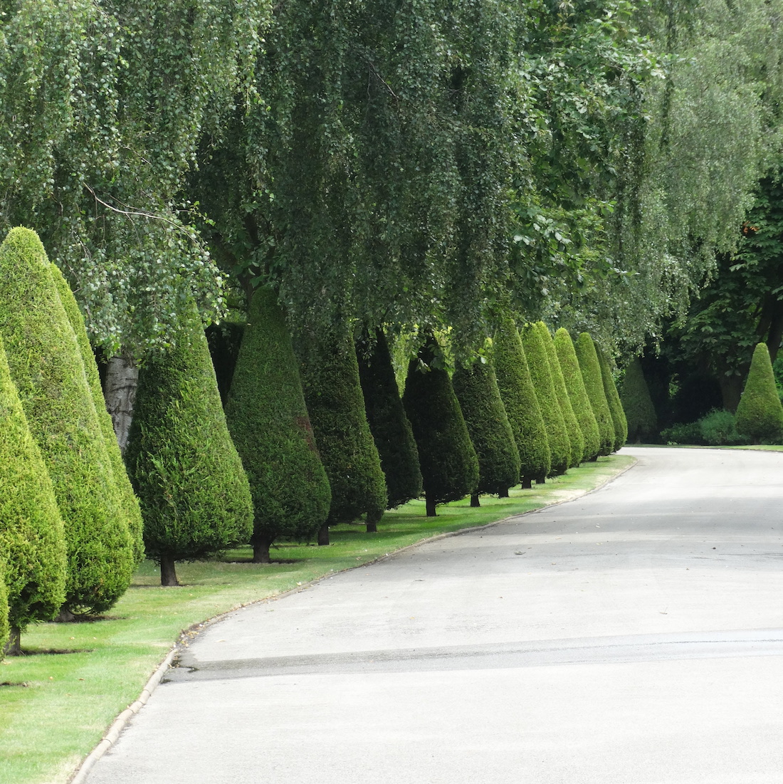 Country Estate Soft Landscaping Driveway Cambridgeshire