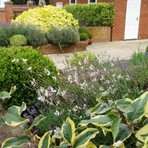 Country Estate Soft Landscaping Cambridgeshire